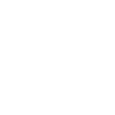 Icon Mouse